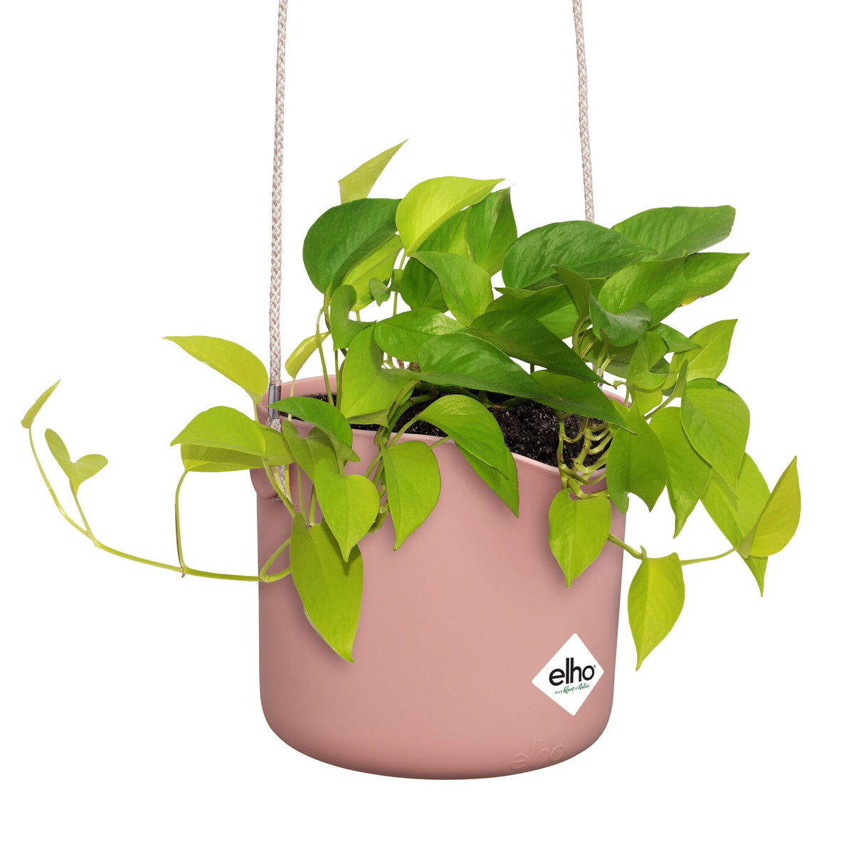 Verkoop Hangpot B voor swing roze ELHO - 