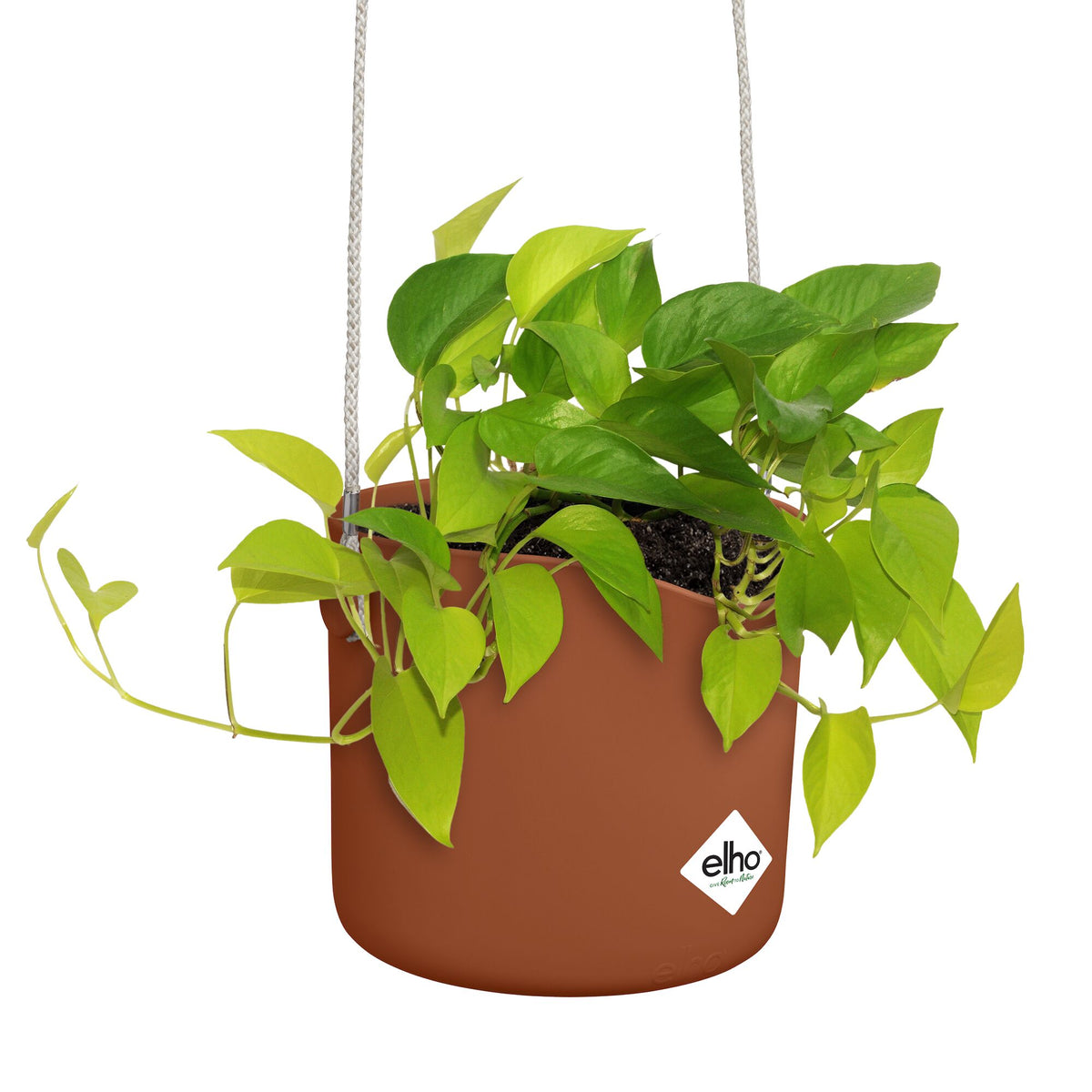 Verkoop Hangpot B voor swing terracotta ELHO - 
