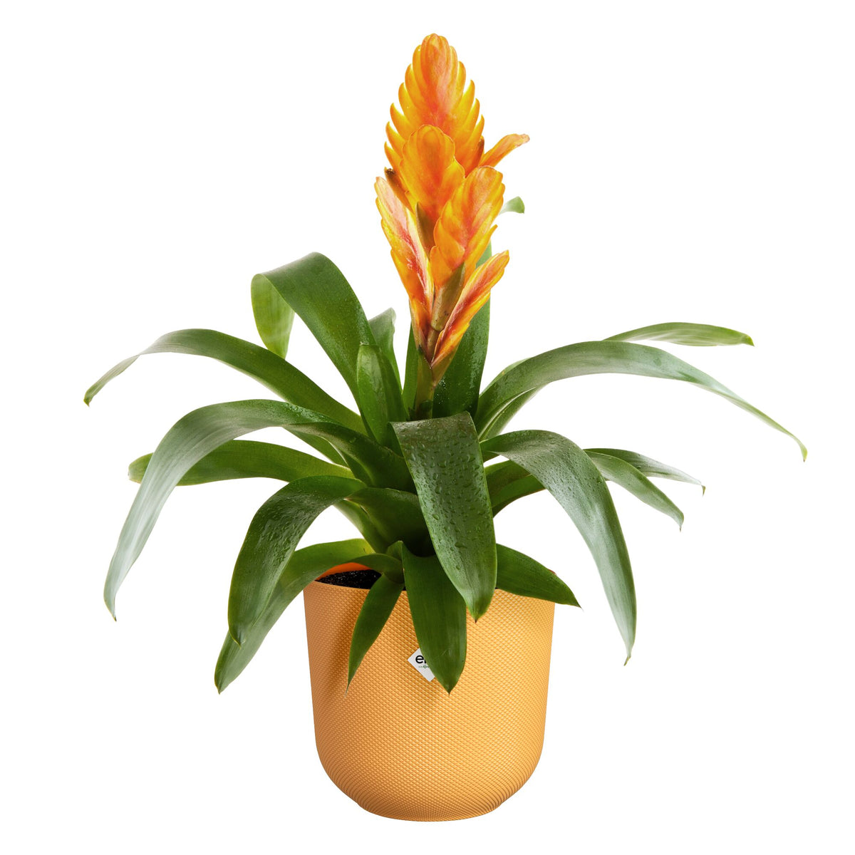 Verkoop Bloempot Jazz geel ELHO