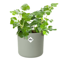 Elho Bloempot B for soft rond steengroen -  - Bakker
