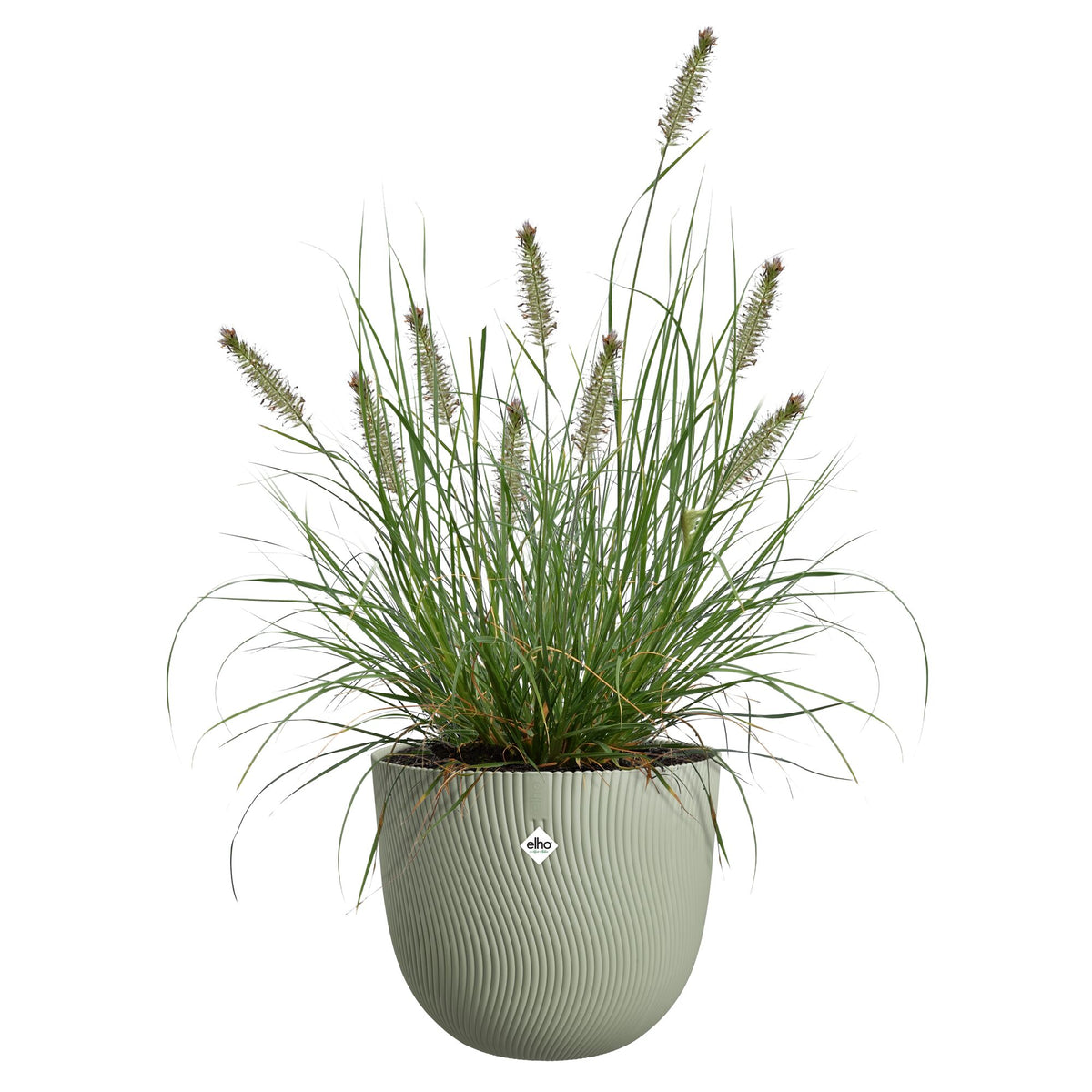 Bloempot Sereh rond scandinavisch groen -  - Bakker