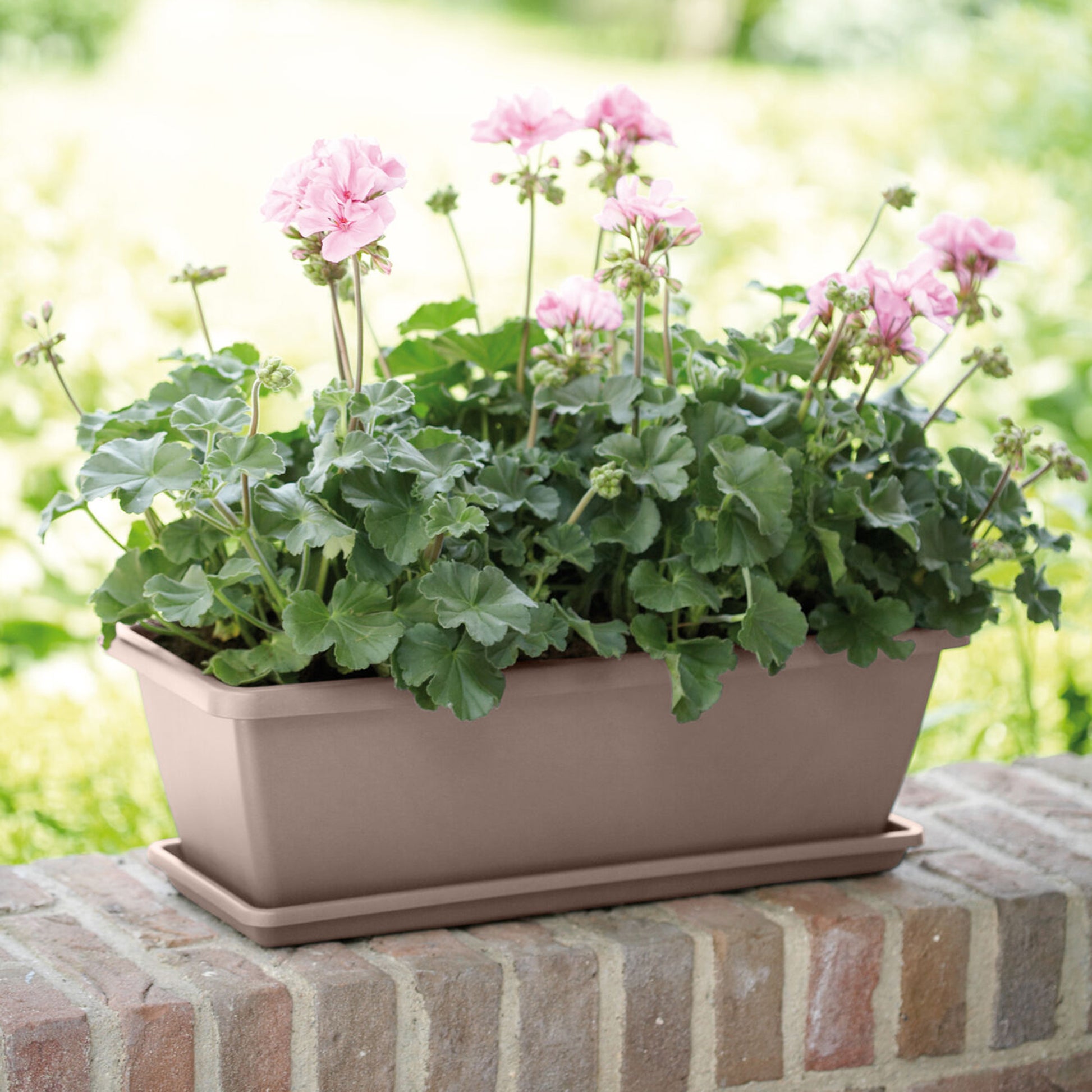 Plantenbak Barcelona Taupe - Bakker