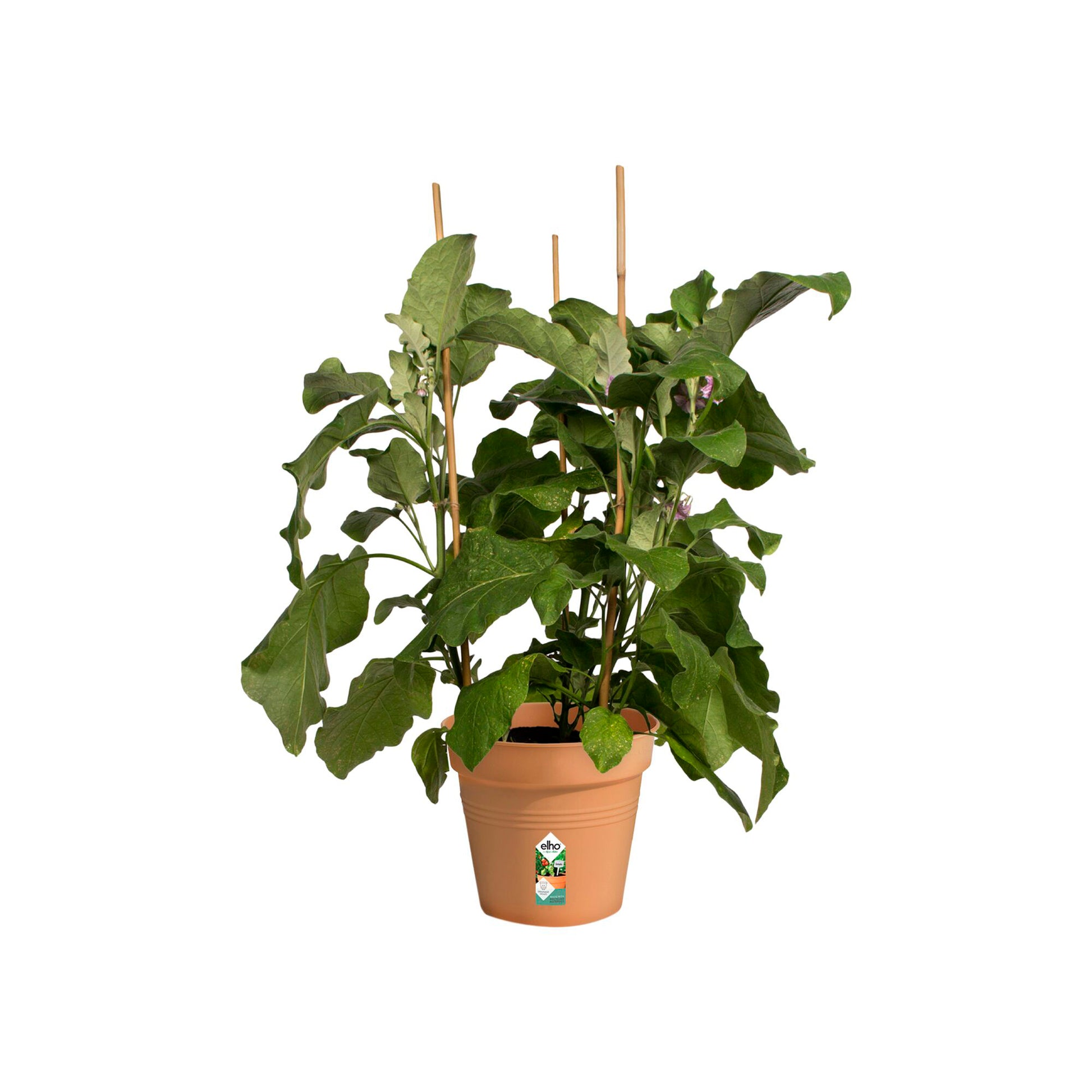  - Kweekpot Green Basics Mild Terra - Buitenpotten