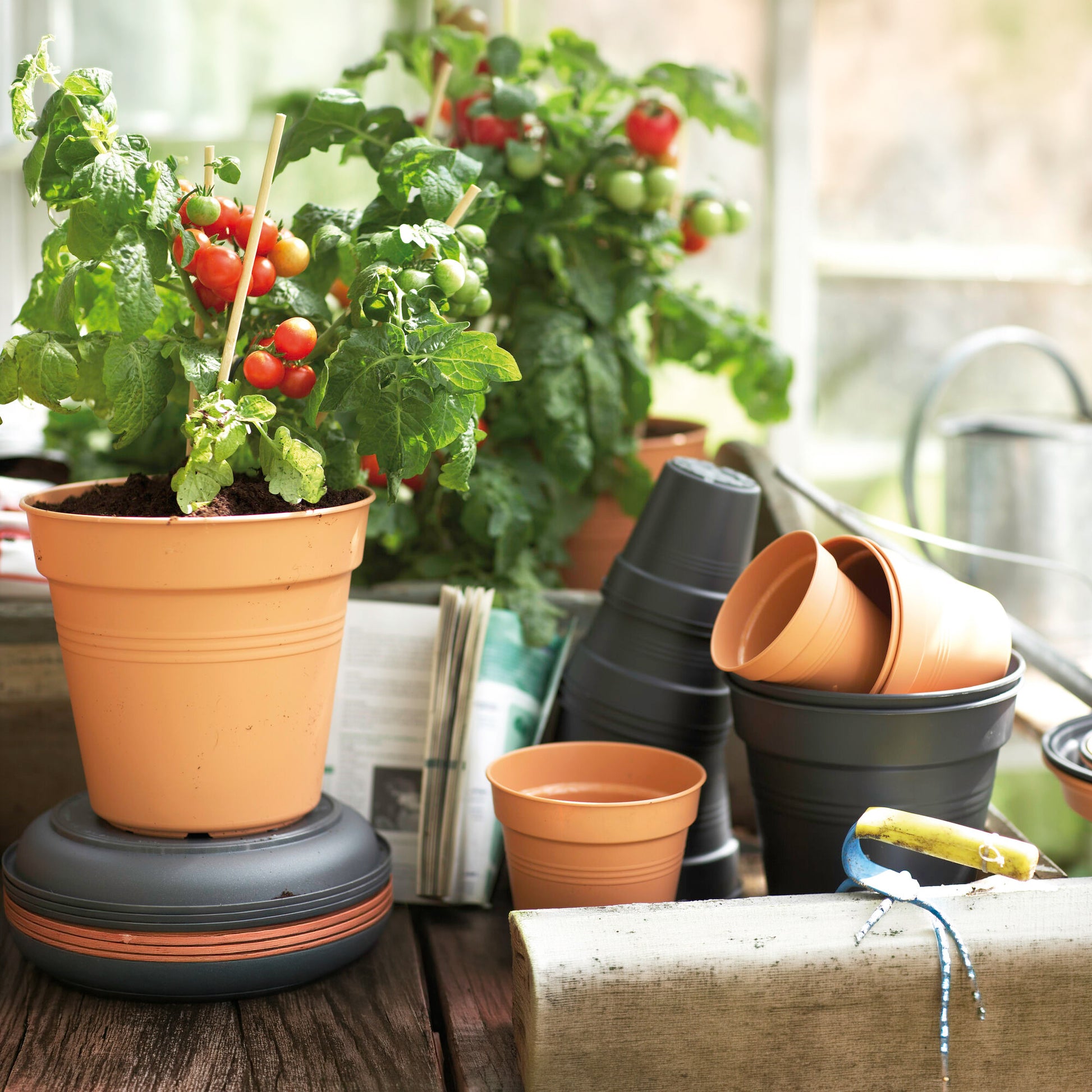 Verkoop Kweekpot Green Basics Mild Terra - 