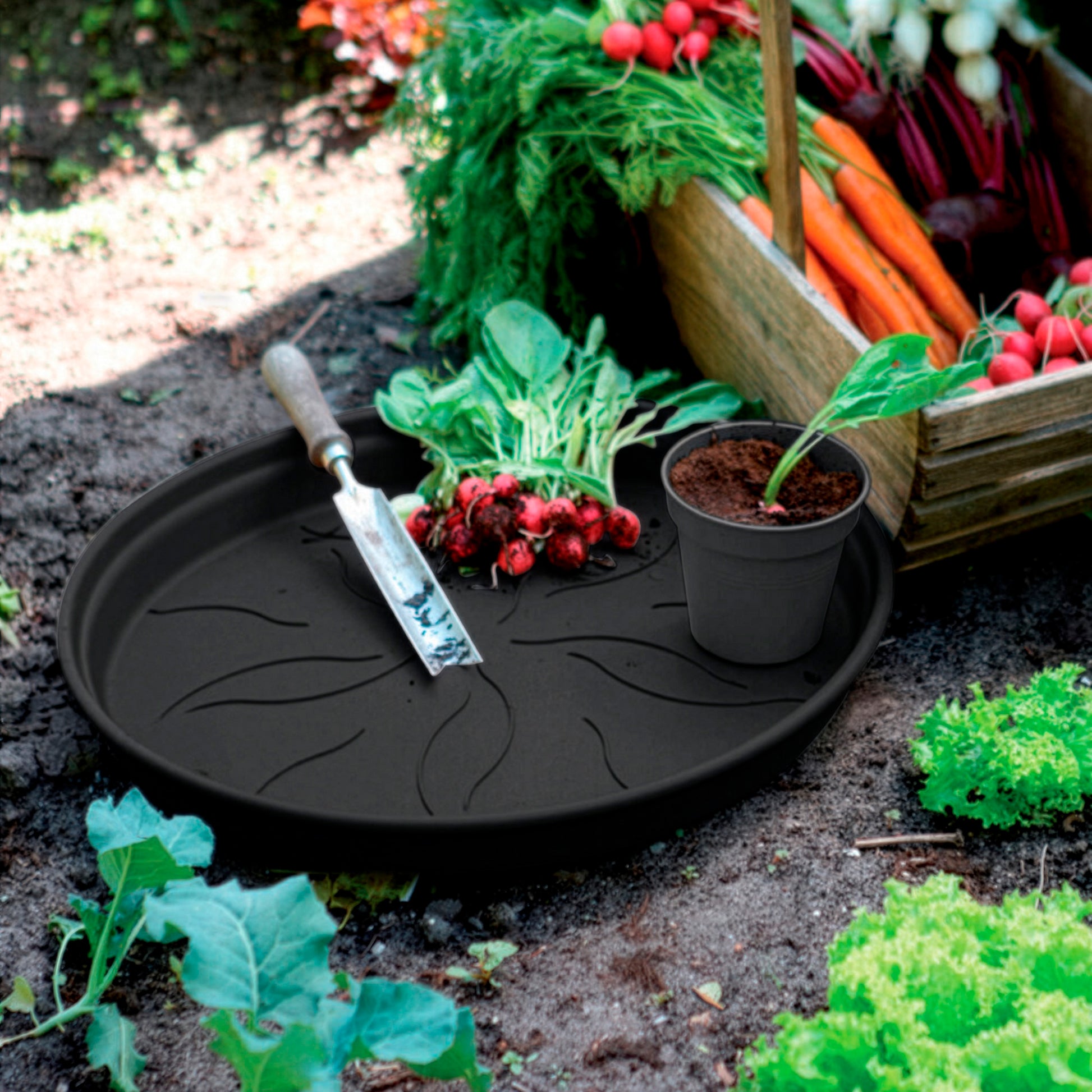 Schotel Green Basics  Living black ELHO -  - Bakker