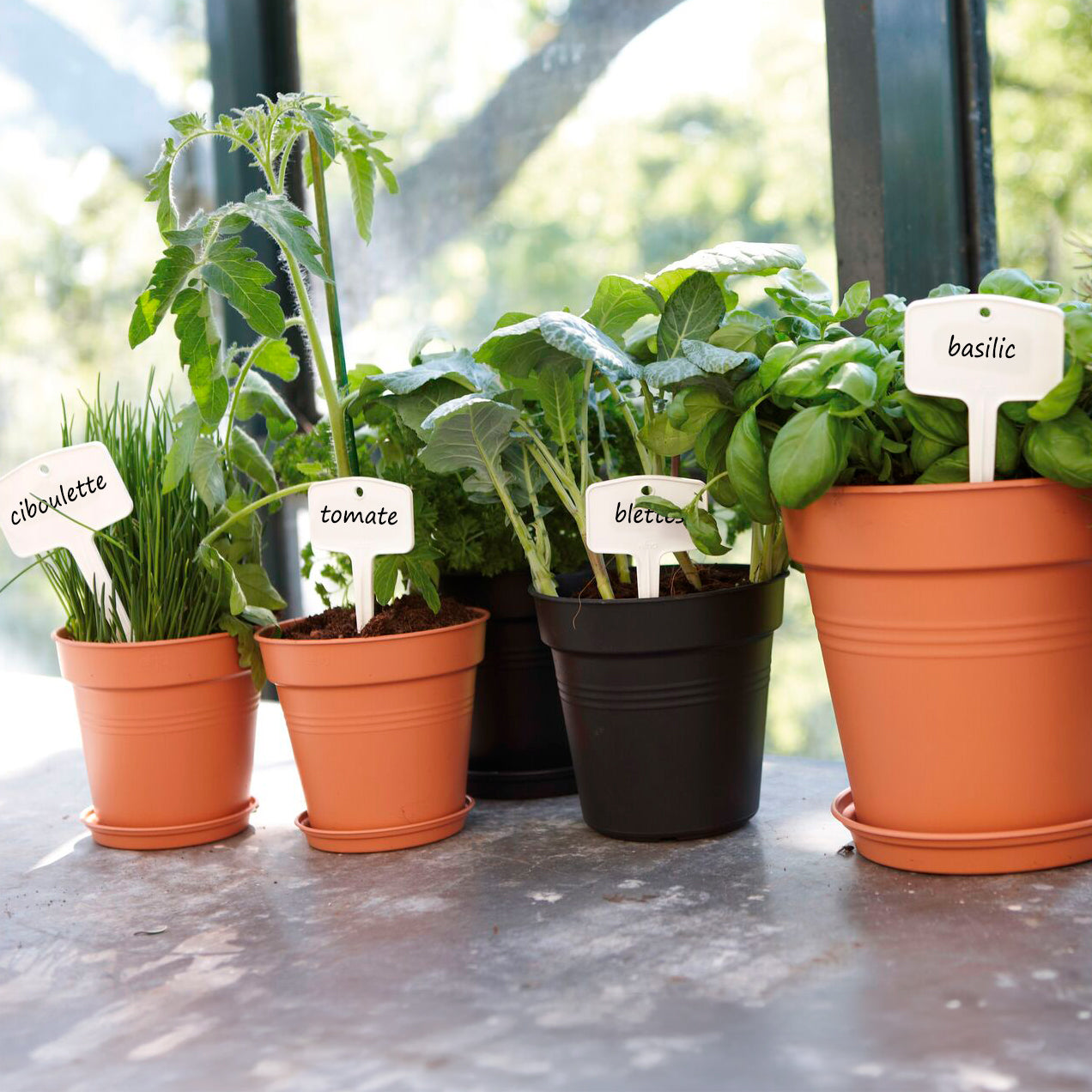  - Schotel Green Basics Mild Terra ELHO - Buitenpotten