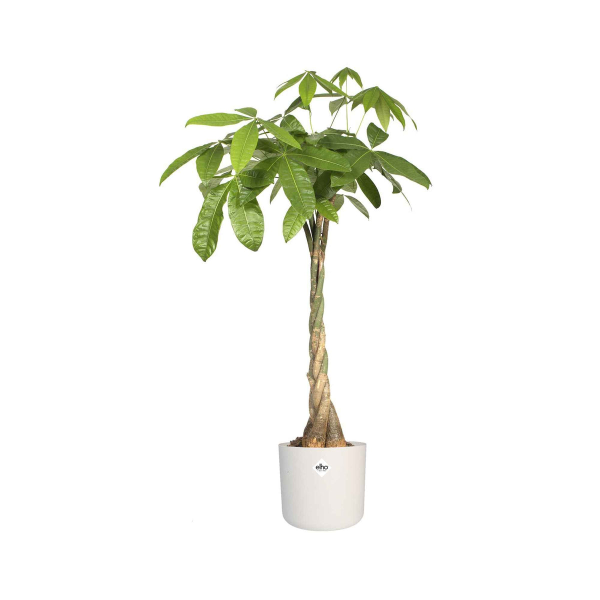 Onderhoud en Materiaal  - Elho bloempot B.for soft rond wit - Binnenpot - 