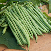 Sperziebonen Mix - Collection de 3x100g de haricots nains contender, king horn wax, ai - Bakker