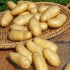 Aardappel 'Amandine' (x25) - Bakker