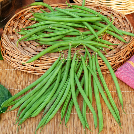 Sperzieboon 'Mangetout Castandel' - Bakker