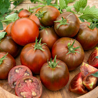 Tomaat 'Black Russian'