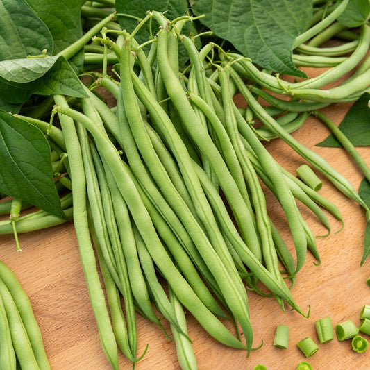 Slaboon 'Argus' - Bakker