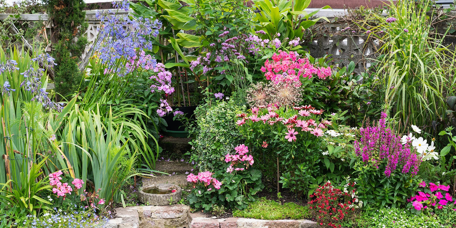 Inspiratie: een onderhoudsarme tuin
