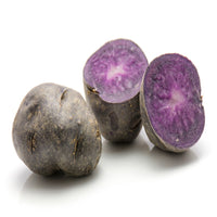 Aardappel 'Ulysse' - BIO - Solanum tuberosum ulysse - Bakker