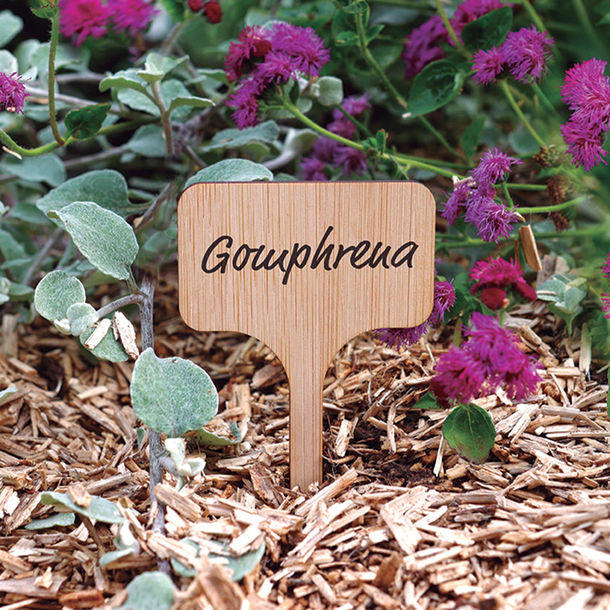 Plantenlabels (x15) - Bakker