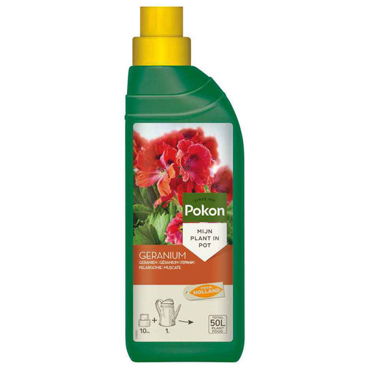 Pokon vloeibare geranium voeding - 1