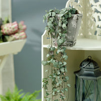 Verkoop Chinees lantaarntje - Ceropegia woodii