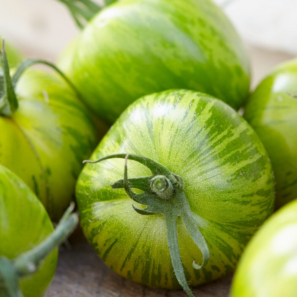 Lycopersicon lycopersicum Green Zebra - Tomaat 'Green Zebra' zaden - Tomatenzaden