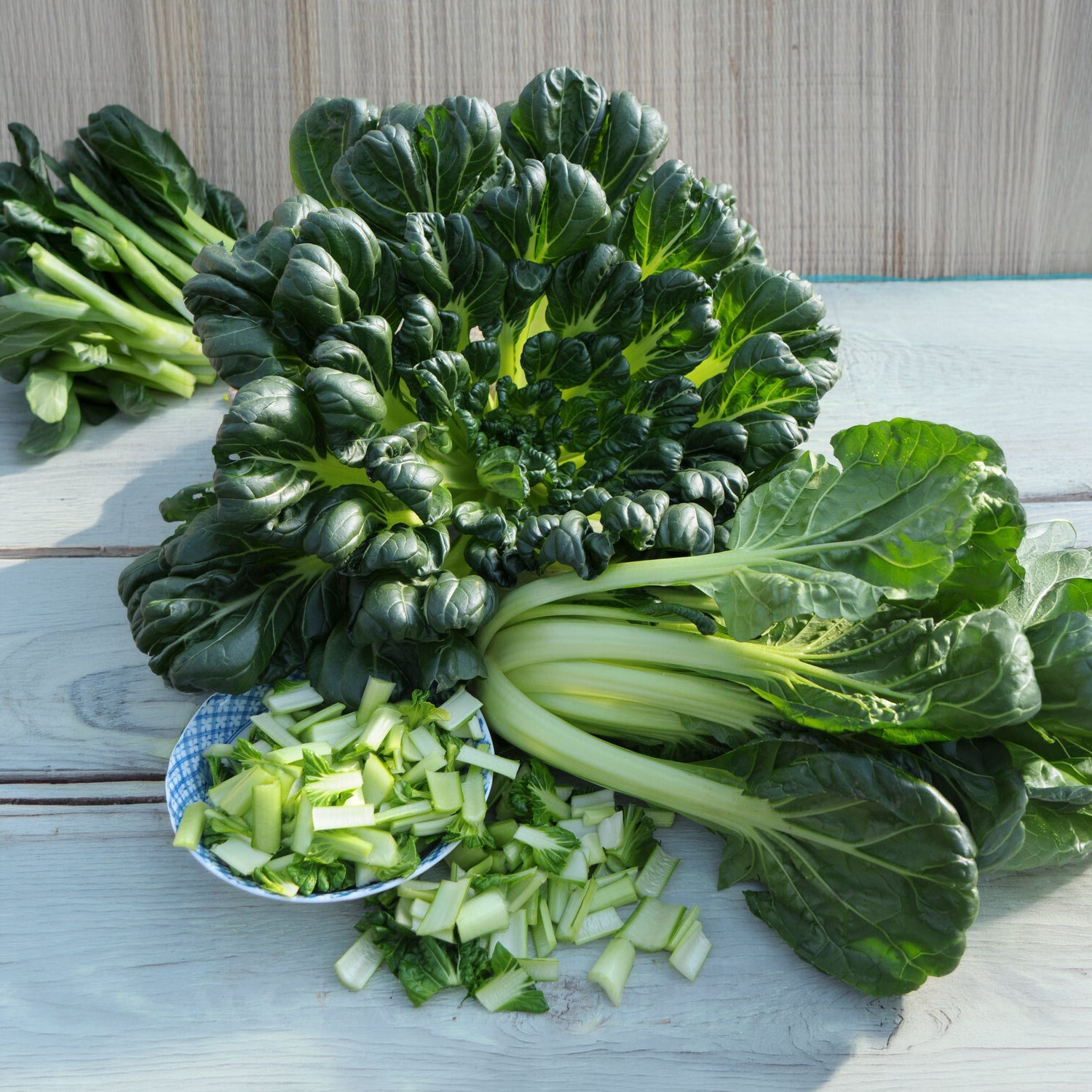 Verkoop Tatsoi - BIO - Brassica rapa rosularis