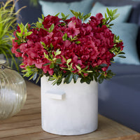 Azalee Encore® Autumn Fire - Rhododendron Encore® Autumn Fire - Bakker