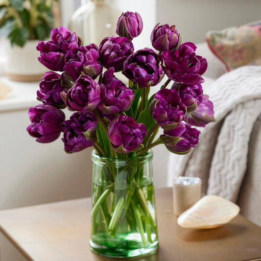 Tulp Negrita - Bakker
