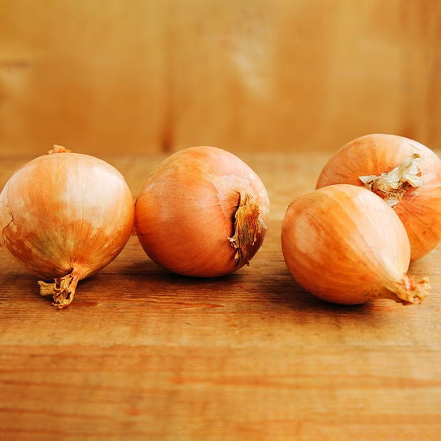 Gele sjalot 'Golden Gourmet' - Allium ascalonicum golden gourmet - Bakker