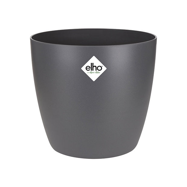 Luchtzuiverende planten incl. Elho sierpotten Antraciet (x4) - Luchtz. plant 4 st