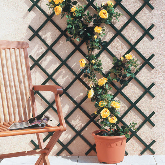 Verlengbare trellis voor klimplanten. Muurbevestigingsset inbegrepen - Bakker