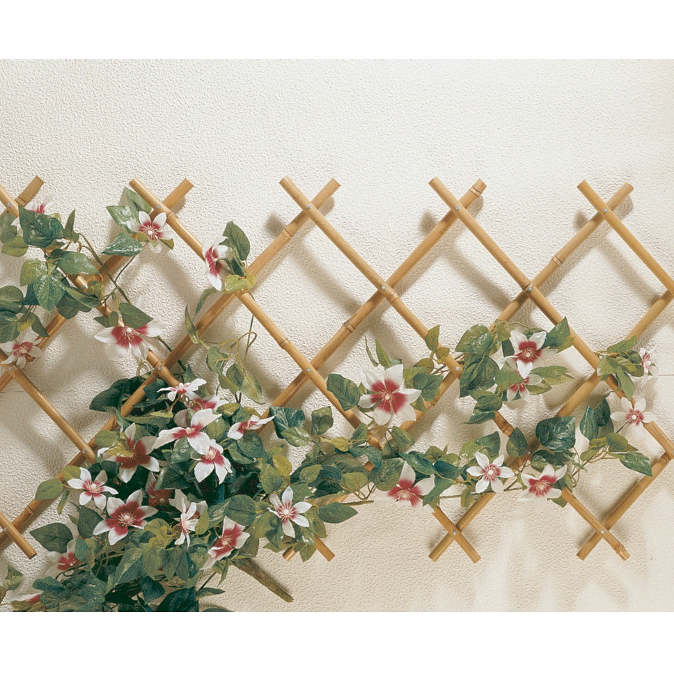 Verlengbare bamboe trellis om de groei van klimplanten te helpen - Bakker