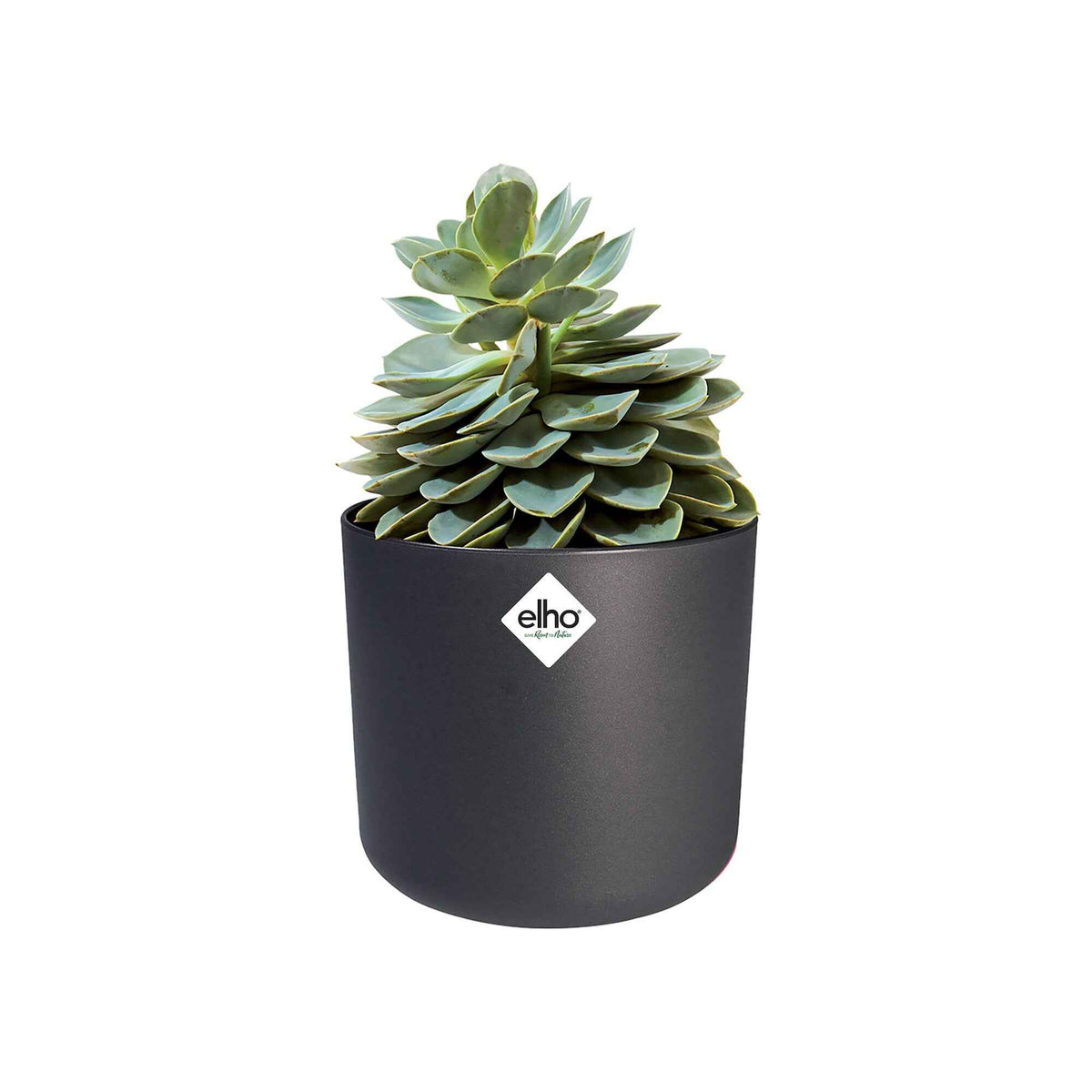 Elho bloempot B.for soft rond antraciet - Binnenpot -  - Bakker