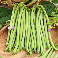Bonen Mix - Collection de 3 haricots assortis - Bakker