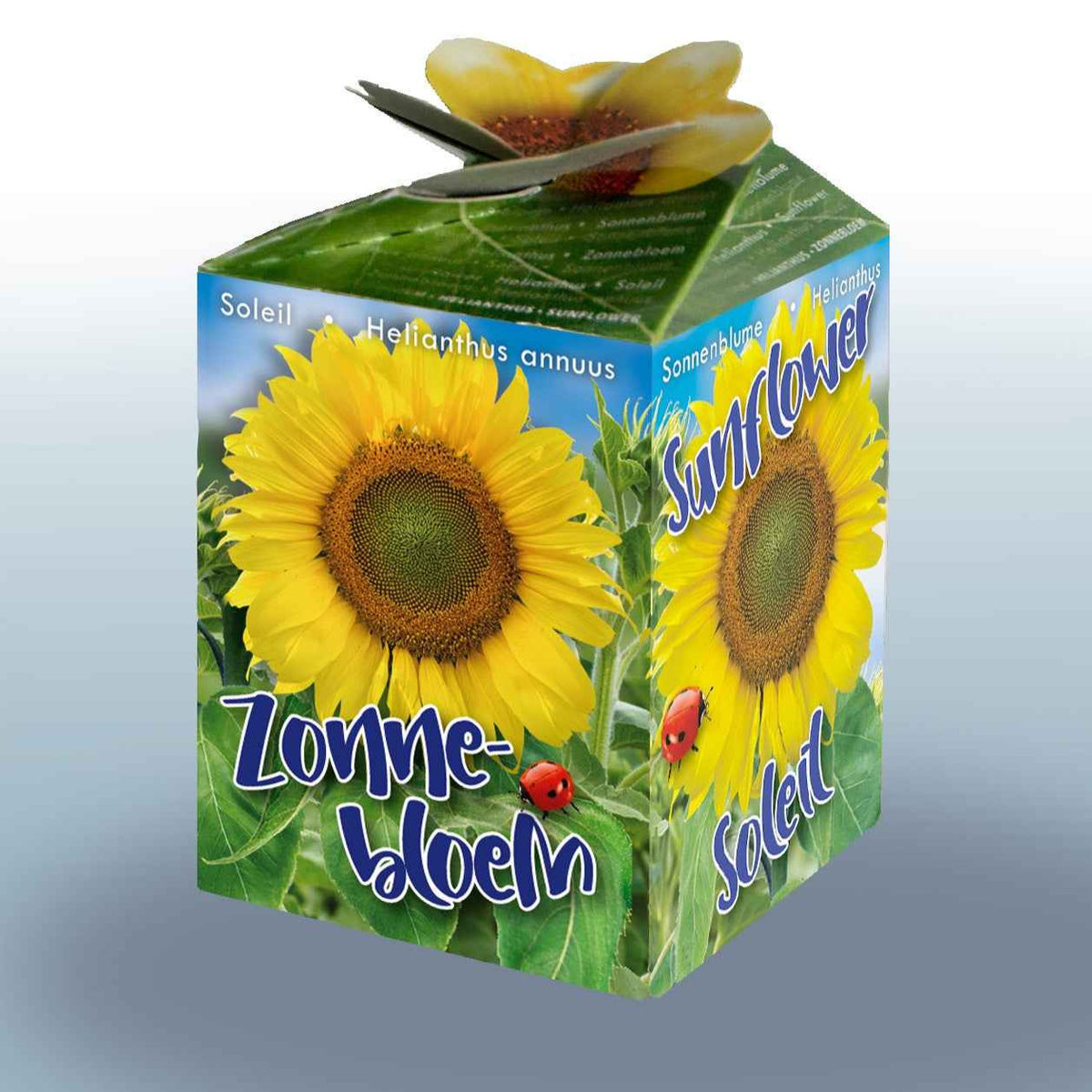 Zonnebloem Kit - Bakker