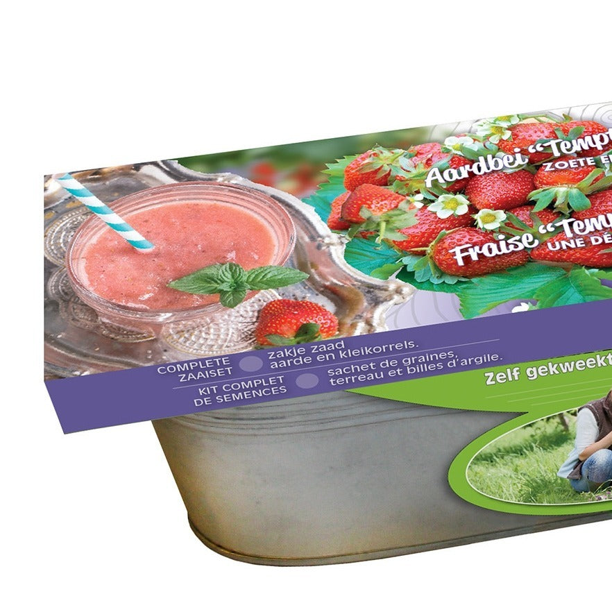 Zinken teil Aardbei Temptation zaden - Bakker