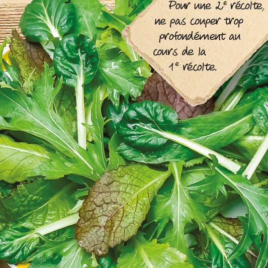 Snijsla mix Asian Salad mix - Bakker