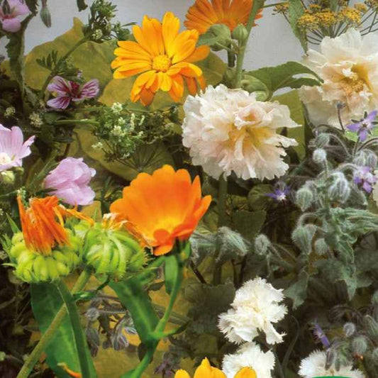 Bloemen en eetbare kruidenmix - Bakker