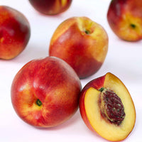 Dwerg nectarineboom - Winterhard - Fruit