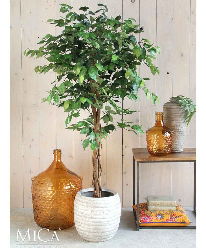 Kunstplant Ficus Benjamina - Alle kunstplanten