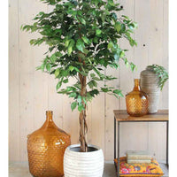 Kunstplant Ficus Benjamina - Groene kunstplanten