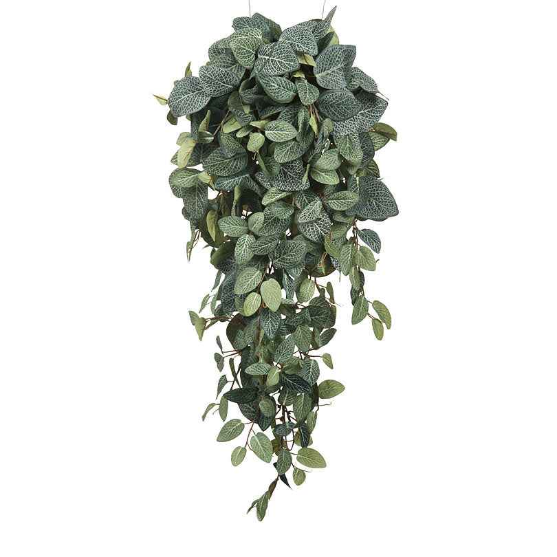Kunstplant Pilea hangend - Groene kunstplanten