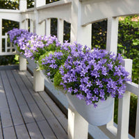 3x Klokjesbloem Campanula 'Intense Purple' Paars - Winterhard - Alle vaste tuinplanten