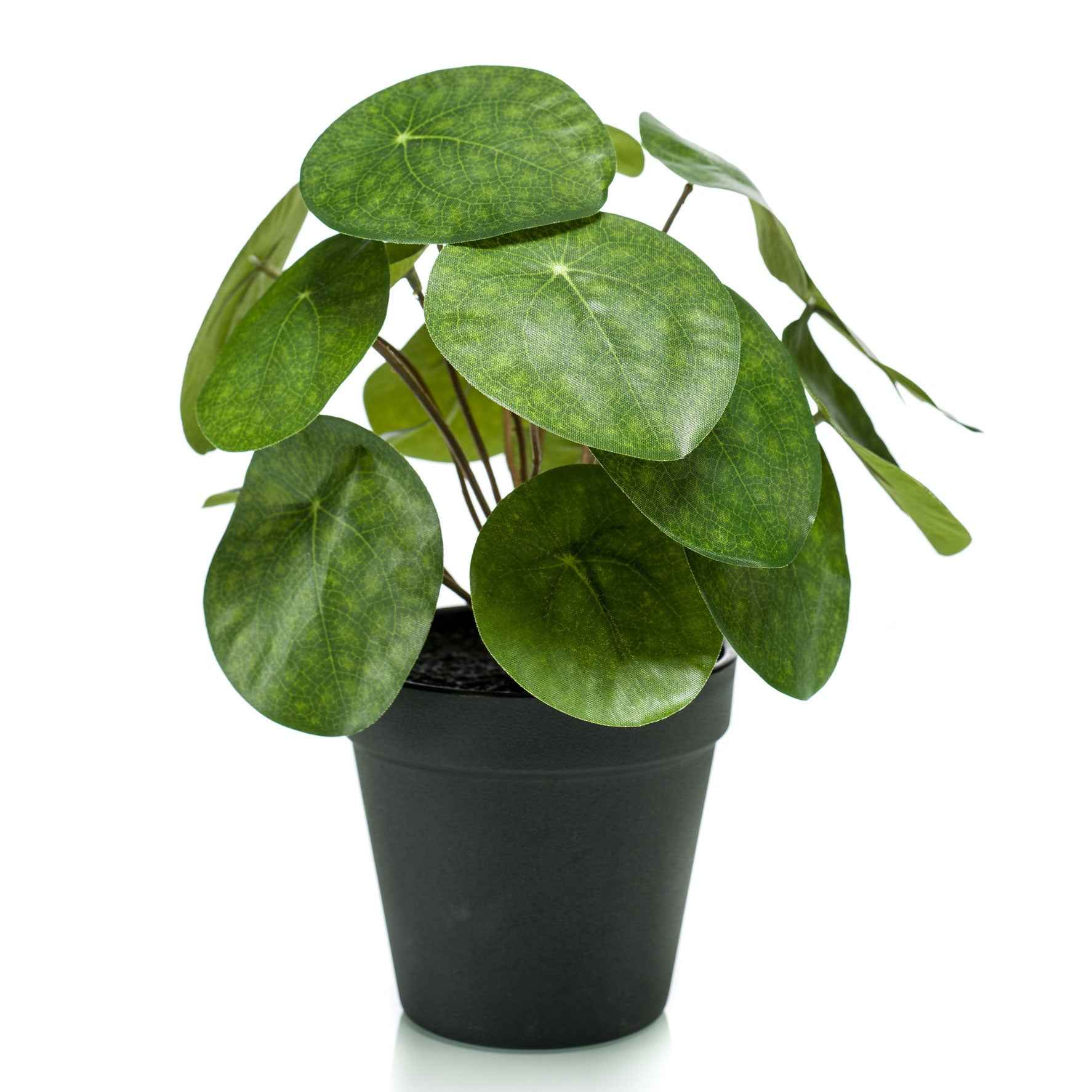 Kunstplant Pannenkoekplant Pilea incl. sierpot zwart - Groene kunstplanten