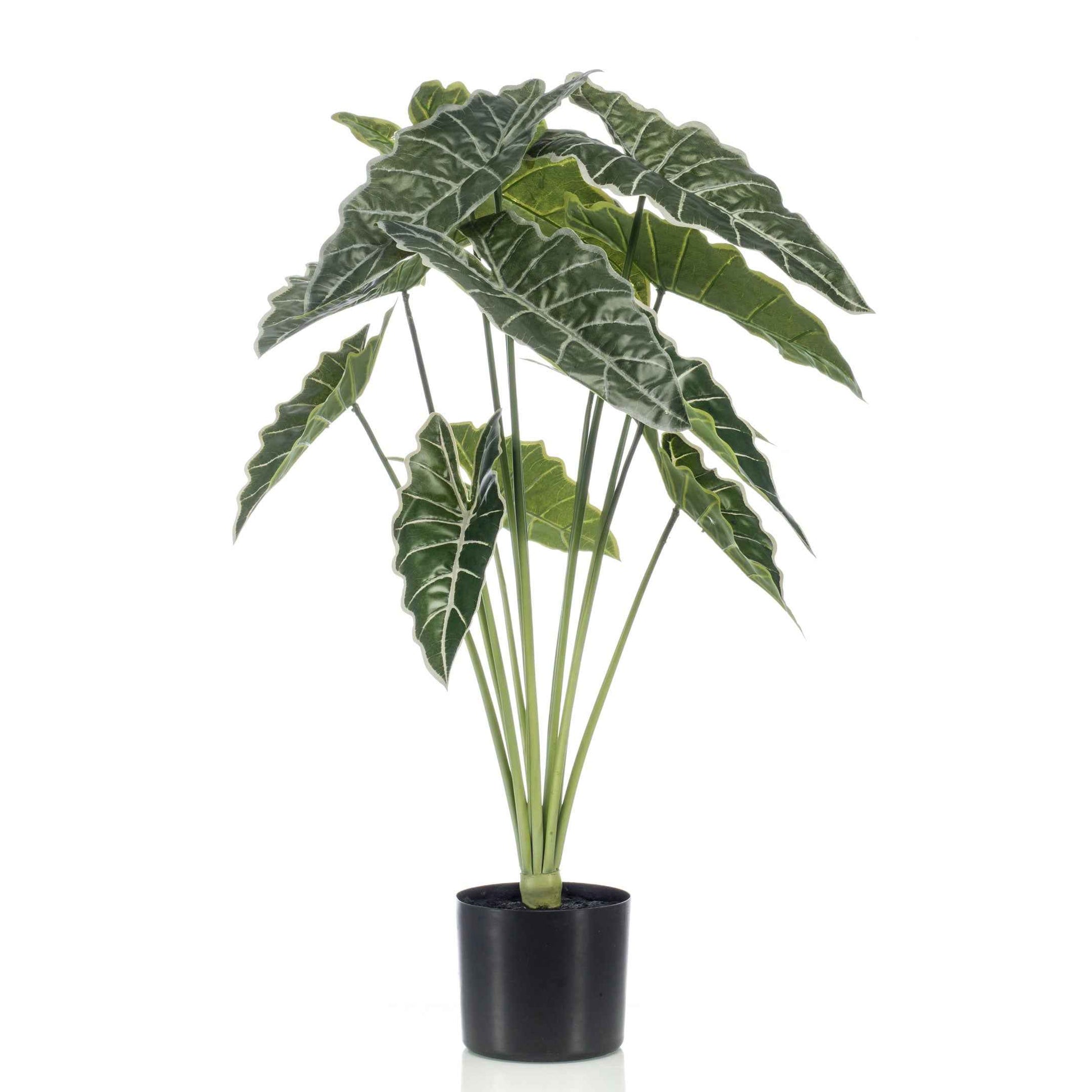 Kunstplant Olifantsoor Alocasia incl. sierpot zwart - Groene kunstplanten