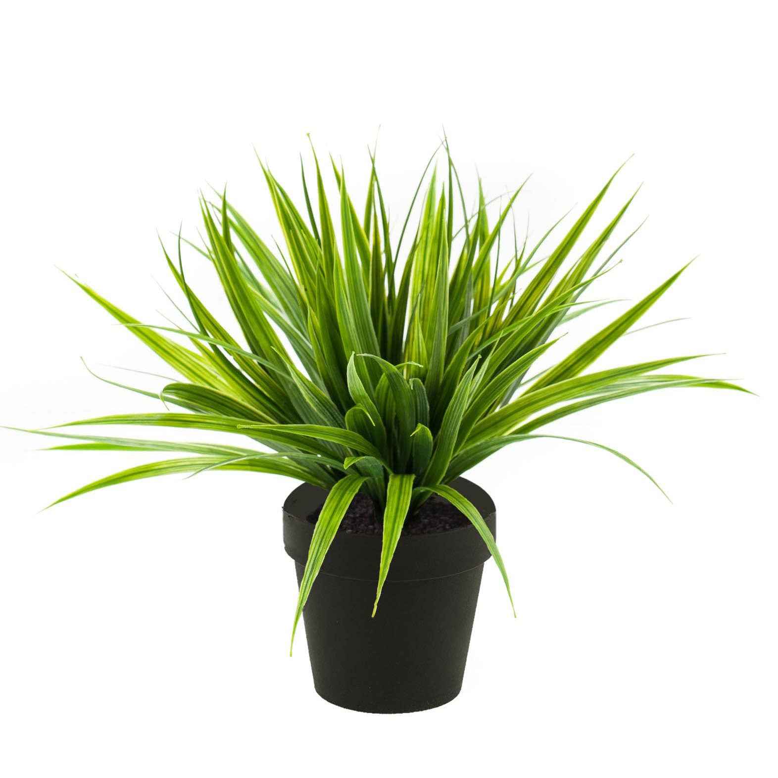 Kunstplant Zegge Carex incl. sierpot zwart - Groene kunstplanten