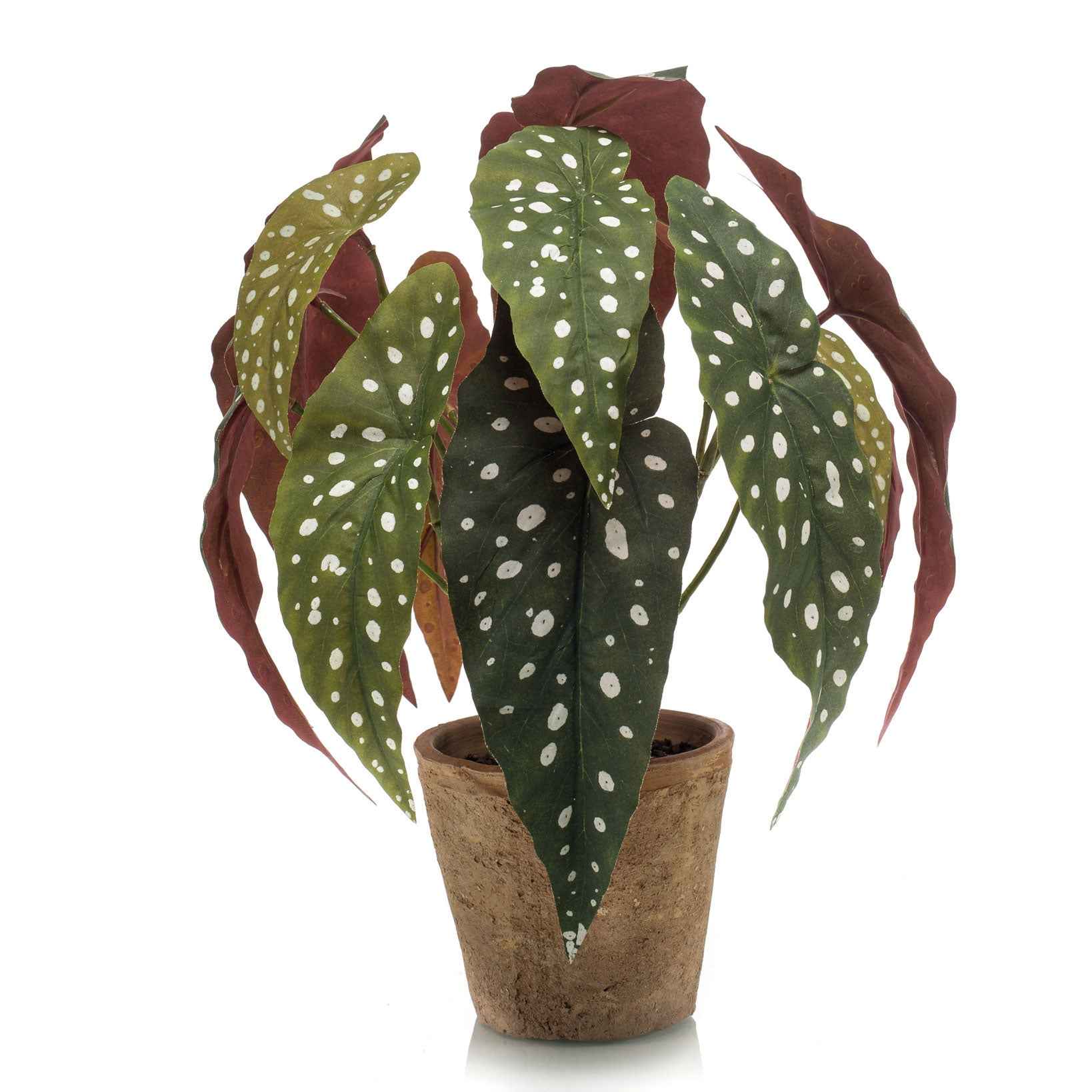 Kunstplant Begonia incl. sierpot bruin - Groene kunstplanten
