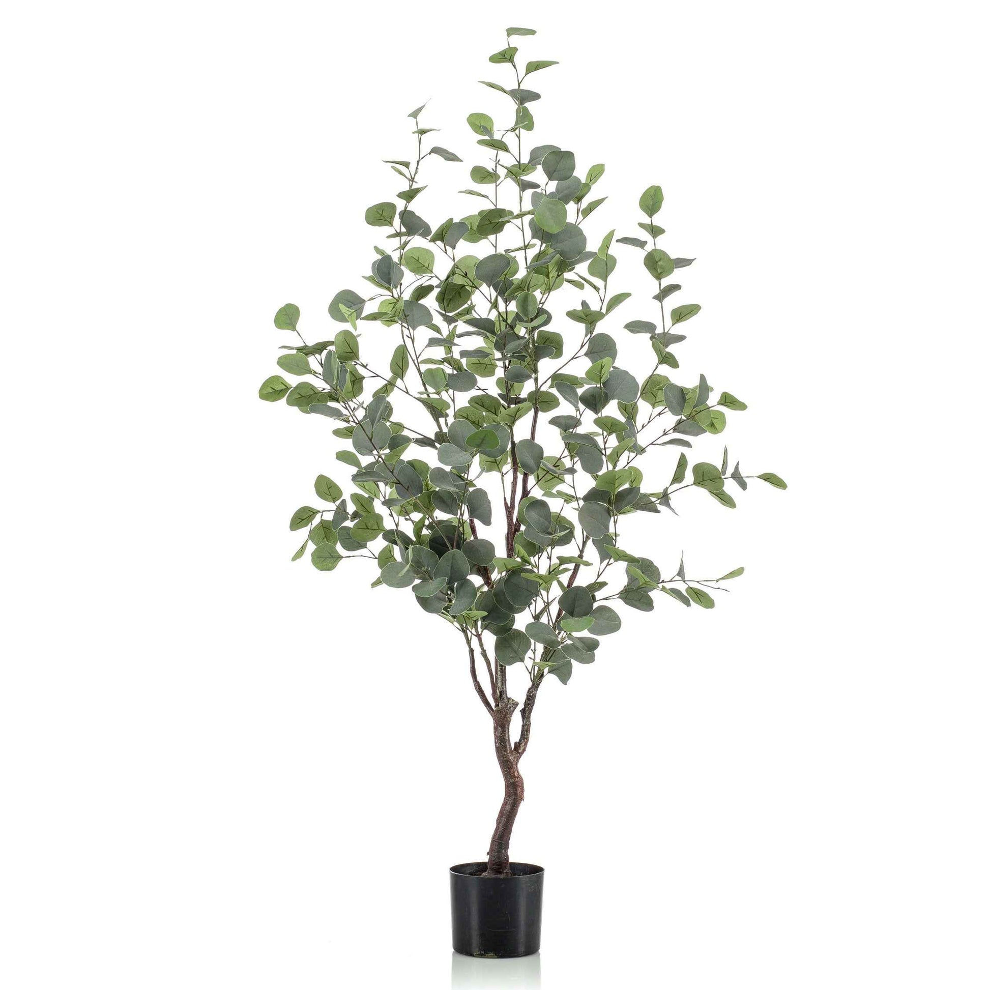 Kunstplant Eucalyptus incl. sierpot zwart - Grote kunstplanten