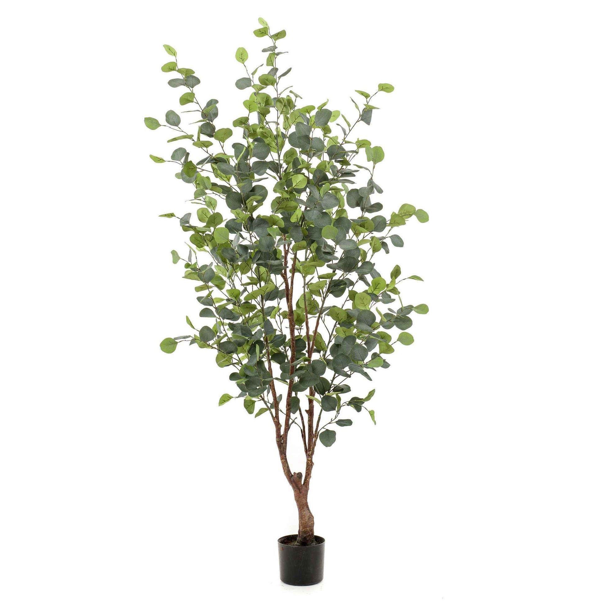 Kunstplant Eucalyptus incl. sierpot zwart - Groene kunstplanten