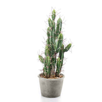Kunstplant Cactus Stetsonia incl. sierpot grijs - Aanbiedingen