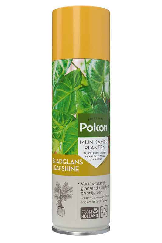 Bladglans spray 250 ml - Pokon - Kamerplanten verzorging