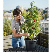 Elho tomatenpot Green basics rond zwart - Buitenpot - Bloempotten