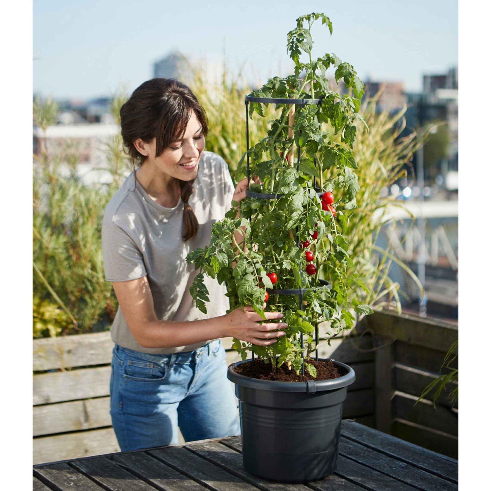 Elho tomatenpot Green basics rond zwart - Buitenpot - Buitenpotten